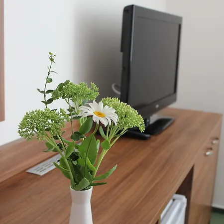 Casa de hóspedes Zichovecky Pivovar Zichovec